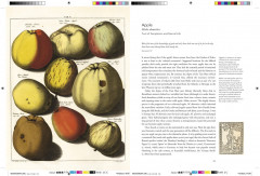 Remarkable Plants - Фото 7