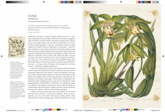 Remarkable Plants - Фото 8