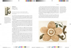 Remarkable Plants - Фото 9