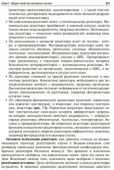 Нормальная физиология - Фото 12