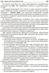 Нормальная физиология - Фото 16