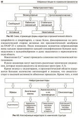 Избранные лекции по нормальной физиологии. Selected Lectures on Normal Physiology - Фото 9