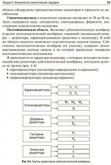 Избранные лекции по нормальной физиологии. Selected Lectures on Normal Physiology - Фото 10