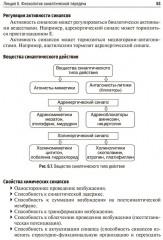 Избранные лекции по нормальной физиологии. Selected Lectures on Normal Physiology - Фото 14