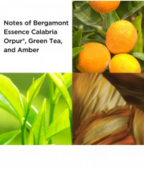 Набор подарочный «Green Tea» - Фото 2