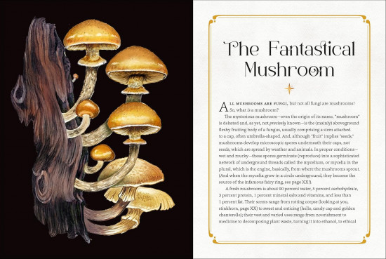 Mystical Mushrooms. Discover the Magic & Folklore of Fantastic Fungi
