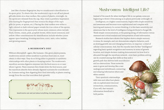 Mystical Mushrooms. Discover the Magic & Folklore of Fantastic Fungi