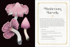 Mystical Mushrooms. Discover the Magic & Folklore of Fantastic Fungi - Фото 3