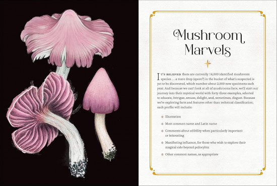 Mystical Mushrooms. Discover the Magic & Folklore of Fantastic Fungi