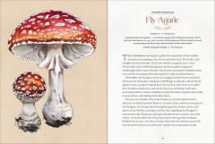 Mystical Mushrooms. Discover the Magic & Folklore of Fantastic Fungi - Фото 4
