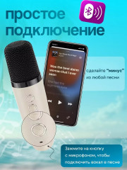 Колонка Bluetooth с микрофонами - Фото 5