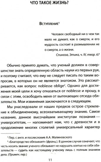 Квантовый кот вселенной