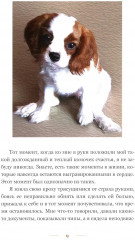 Любовь в форме сердца - Фото 4