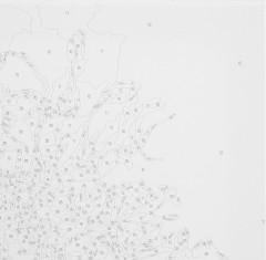 Картина по номерам «Маки» - Фото 8