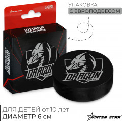 Шайба хоккейная - Фото 1