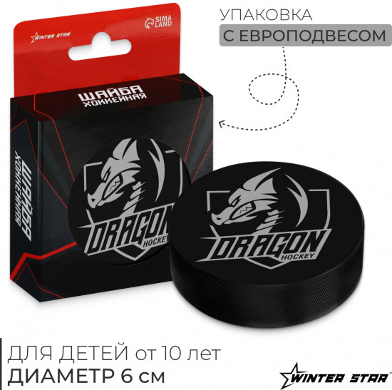 Шайба хоккейная