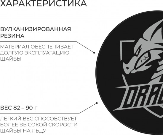 Шайба хоккейная
