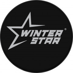 Шайба хоккейная - Фото 4