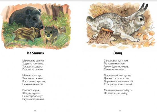 На лесной тропинке
