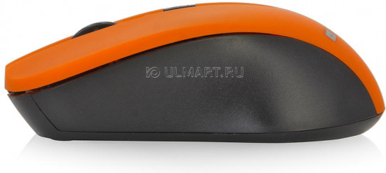 Мышь Canyon CNE-CMSW1O