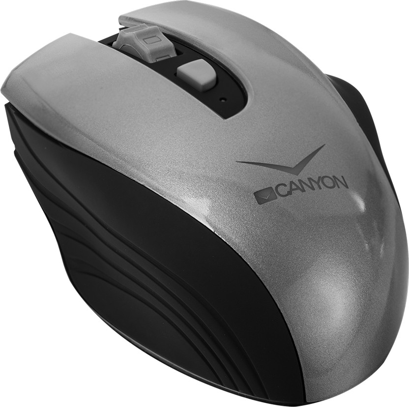 Мышь CNS-CMSW7G | Canyon | Фото 1