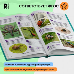 Насекомые. 250 фактов. Энциклопедия российского школьника - Фото 6