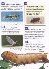 Насекомые. 250 фактов. Энциклопедия российского школьника - Фото 9