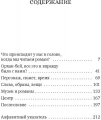 Наивный и сентиментальный писатель - Фото 10