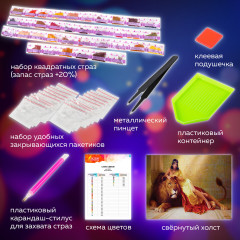 Алмазная мозаика «Принцесса Египта» - Фото 5