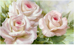 Картина по номерам «Бело-розовые розы» - Фото 15