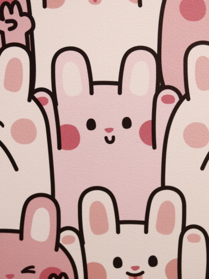 Блокнот «Many rabbit»