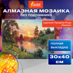 Алмазная мозаика «Тишина» - Фото 2