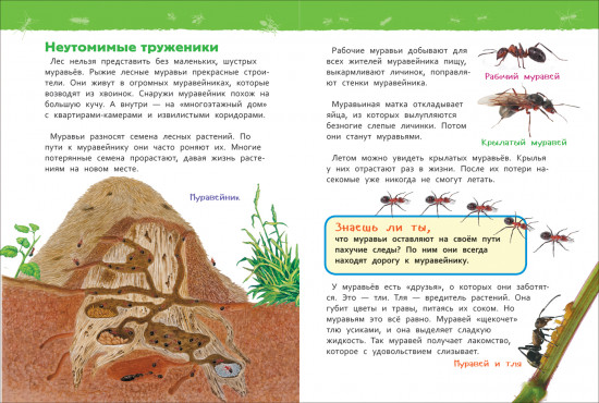 В лесу