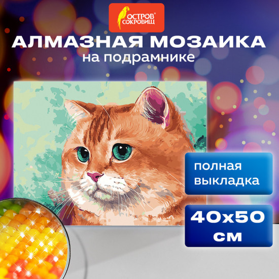 Алмазная мозаика «Кот»
