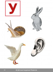 Глобальное чтение. Букварь и комплект карточек - Фото 14