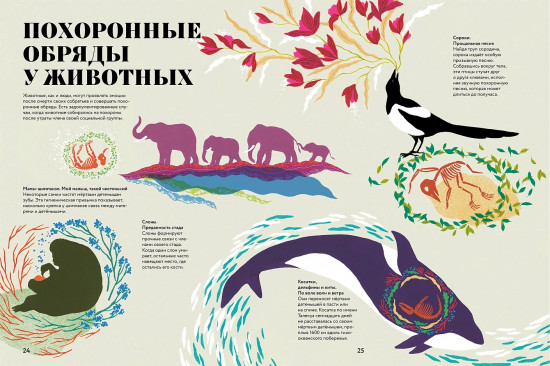 Чудесная книга смерти