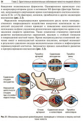 Стоматология - Фото 10