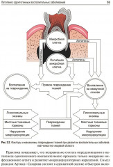 Стоматология - Фото 11