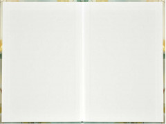 Ежедневник недатированный «Золотая весна» - Фото 2