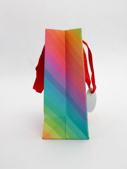 Пакет подарочный «Rainbow Gift»