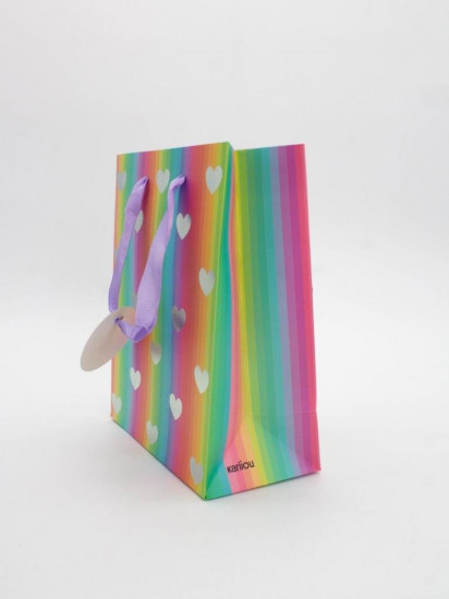 Пакет подарочный «Rainbow Gift»