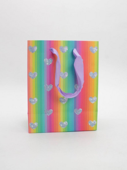 Пакет подарочный «Rainbow Gift»