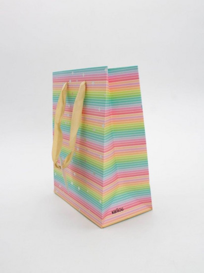 Пакет подарочный «Rainbow Gift»