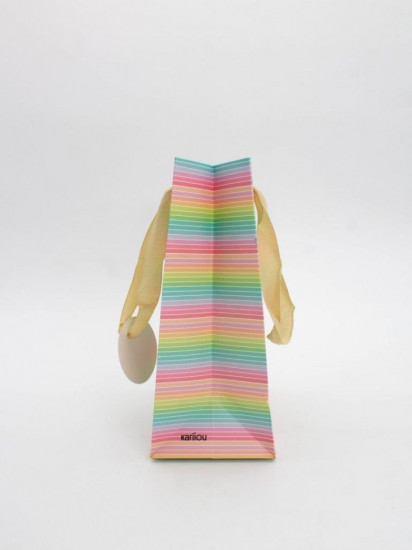 Пакет подарочный «Rainbow Gift»
