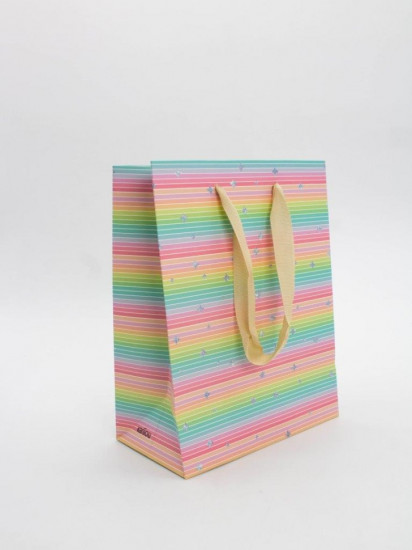 Пакет подарочный «Rainbow Gift»