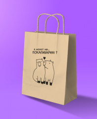 Пакет подарочный «А может мы…Покапибарим?» - Фото 1