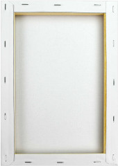 Картина по номерам «Девушка с барсом» - Фото 5