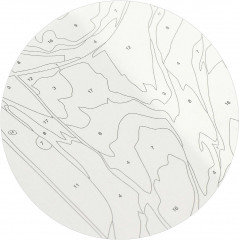 Картина по номерам «Девушка-пион» - Фото 7