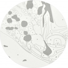 Картина по номерам «Змея» - Фото 6