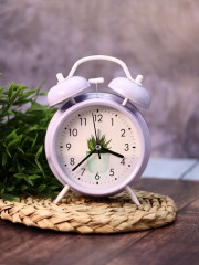 Часы-будильник «Cactus Time» - Фото 1